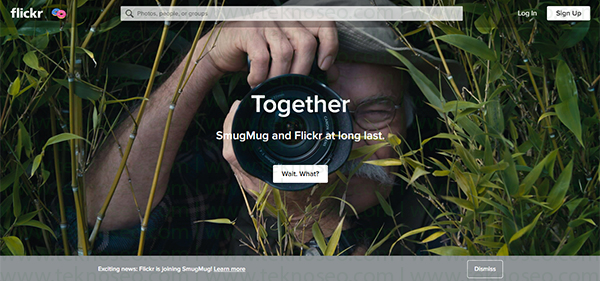 flickr nedir,flickr nasıl kullanılır,flickr hesap açma,flickr hesap oluşturma resimli anlatım