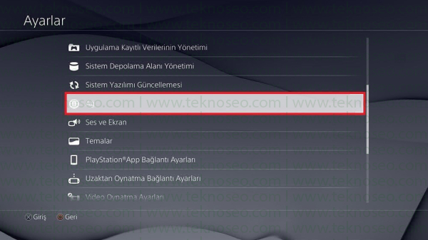 ps4 statik ip atama,ps4 ip sabitleme nasıl yapılır,ps4 sabit ip ayarları,ps4 port açma