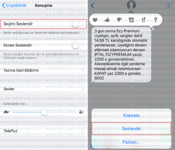 ios,ipad,iphone,sesli okuma,metin seslendirme,seçimi seslendir