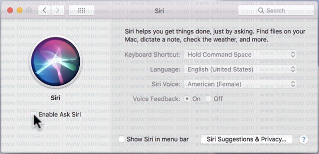 macbook,siri,etkinleştirme,türkçe