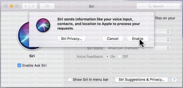 macbook,siri,etkinleştirme,türkçe