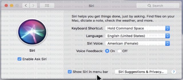 macbook,siri,etkinleştirme,türkçe