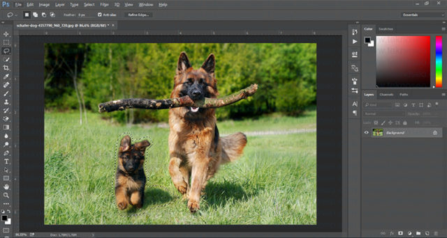 photoshop,fill,doldur,patch tool,nesne kaldırma