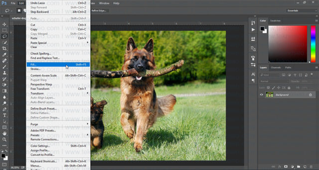 photoshop,fill,doldur,patch tool,nesne kaldırma
