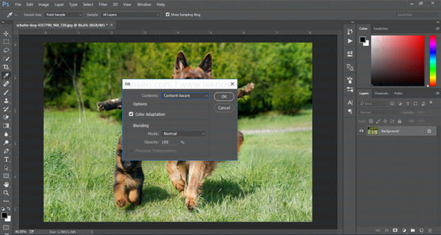 photoshop,fill,doldur,patch tool,nesne kaldırma
