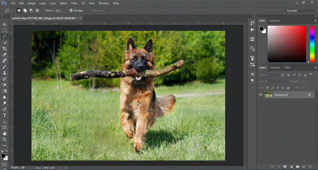 photoshop,fill,doldur,patch tool,nesne kaldırma