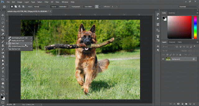 photoshop,fill,doldur,patch tool,nesne kaldırma