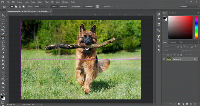 photoshop,fill,doldur,patch tool,nesne kaldırma