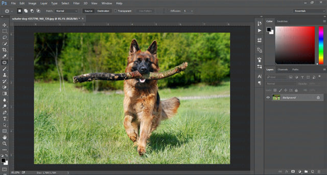 photoshop,fill,doldur,patch tool,nesne kaldırma