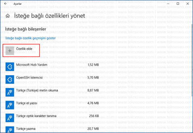 windows 10,internet explorer,yükle,özellik ekle