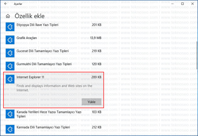 windows 10,internet explorer,yükle,özellik ekle