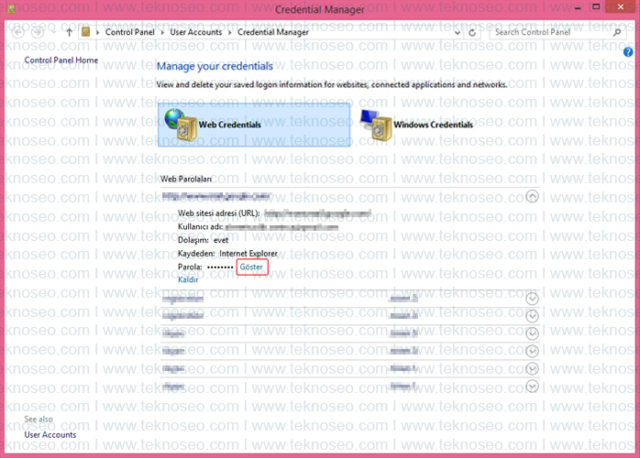 internet explorer,kayıtlı şifreler,parolaları yönet,web parolaları