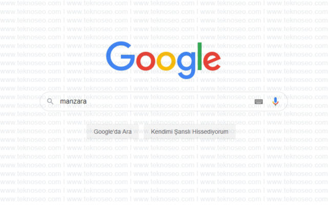 google,görsel arama,yüksek çözünürlük