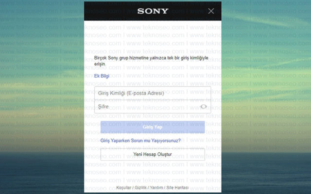 playstation,playstation plus,abonelik,satın alma