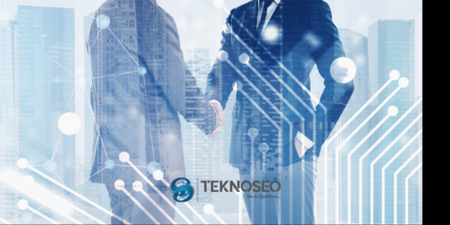 teknoseo.com Şahıs Şirketlerinin Avantajları ve Dezavantajları