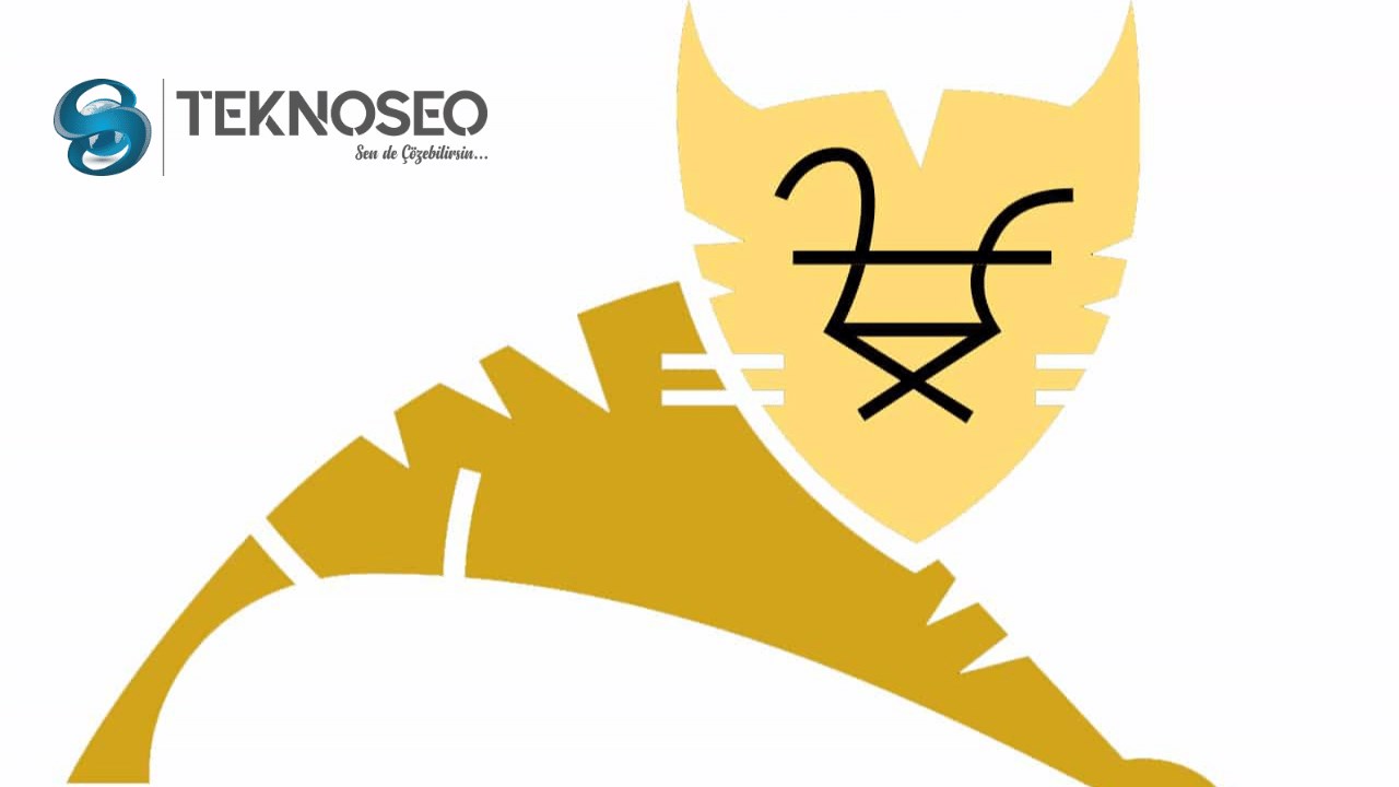 Apache Tomcat Nedir?