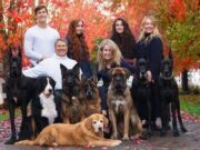 Sahibini En İyi Koruyan Bekçi Köpekleri sahibini en iyi koruyan bekçi köpekleri