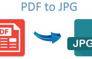 PDF Vs. JPG – Farklılıklara Bakış pdf to jpg